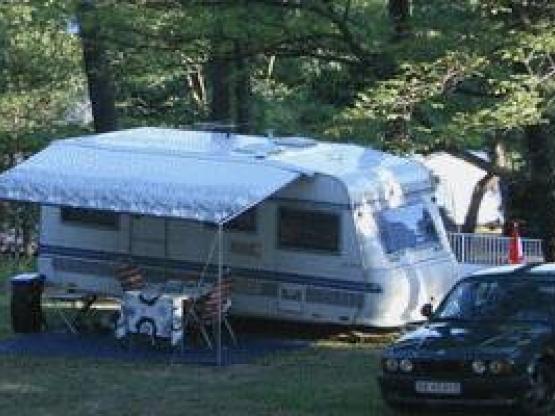 Kampeerplaats : 1 pers., 1 voertuig, 1 tent / caravan / Camper