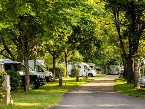 Standplaats Comfort+ 1 auto + tent, caravan of camper