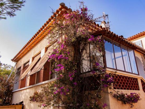 Appartement Bougainvillier 44 m² - 3 stukken - 2 kamers - Airconditioning