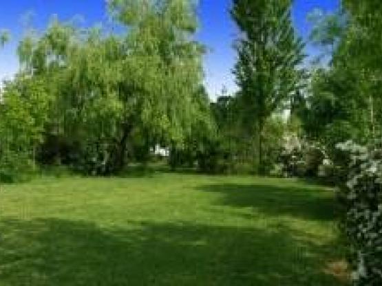 Standplaats + 1 auto + tent, caravan of camper +  elektriciteit 10 A