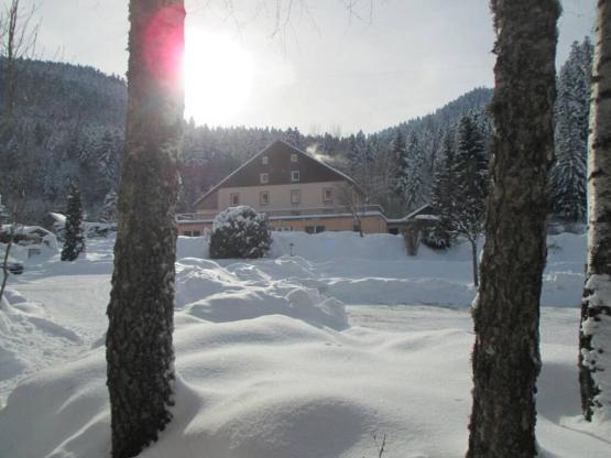 Standplaats voor tent, caravan of camper / incl.2 personen