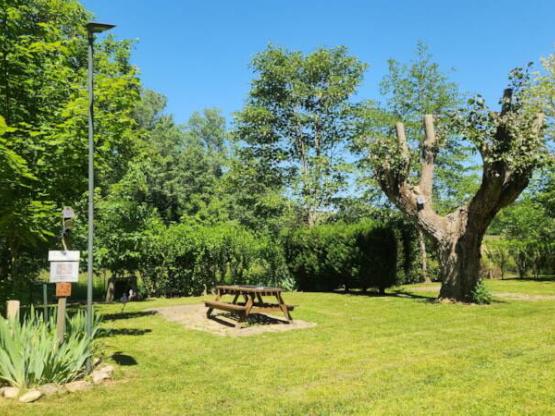 Forfait: standplaats + Voertuig + Tent of caravan