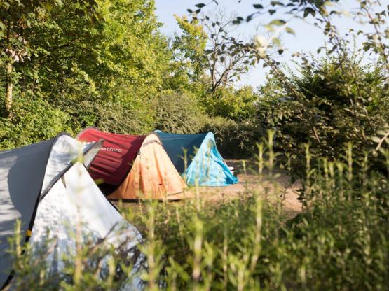 Pakket Camping met elektriciteit