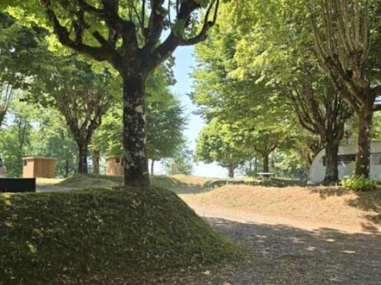 Wandelarrangement (1 persoon, 1 tent, zonder elektriciteit)