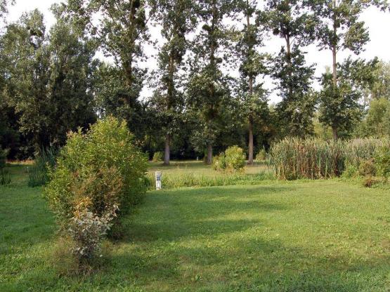 Standplaats ECO - 120 m² - 2 volwassenen en 1 auto