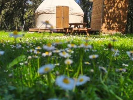 Mongoolse Tent zonder privé sanitair