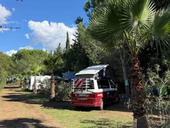 PPrivilege Formule (1 tent, caravan of camper / 1 auto / elektriciteit 10A)