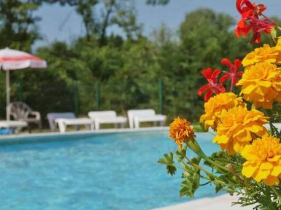 Lodge Freeflower Standard 37m² (2 slaapkamers) - overdekt terras