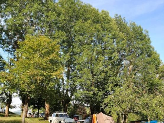 Tent, caravan, minivan, uitgeruste vrachtwagen, motorfiets