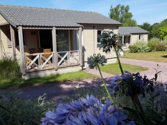 Chalet confort PREMIUM 33 m² (2 Kamers - 1 badkamer) + overdekt terras