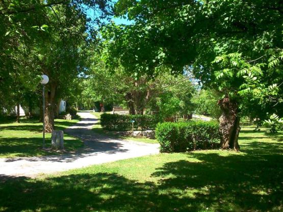 Pitch GRAND CONFORT  + vehicle + electricity 6 A +  water and drainage point