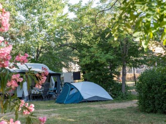 Standplaats + voertuig + tent/caravan/camper