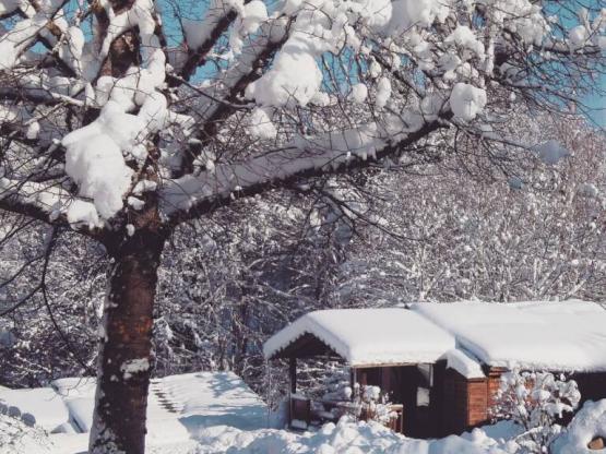 7.CHALET BOIS MONTAGNE 35m² met toegankelijk voor gehandicapten en terras *