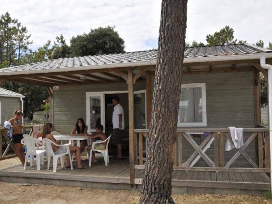 CHALET CANNELLE 2 kamers - TV