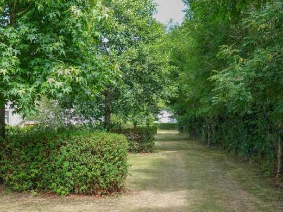 Pakket standplaats + 1 auto + elektriciteit