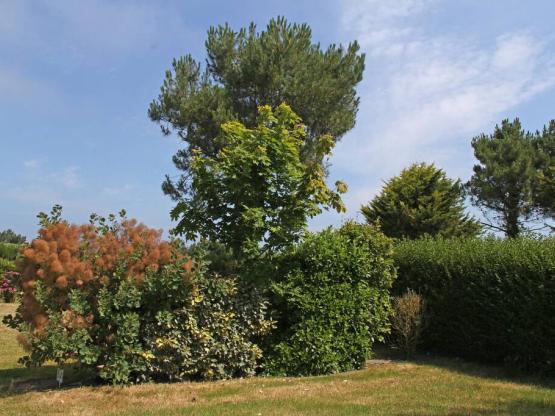 Standplaats Comfort  met electricity 10A