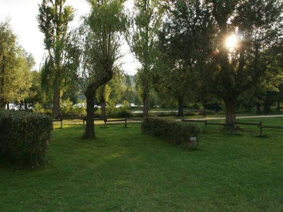 Standplaats: auto + tent of caravan + kampeerauto