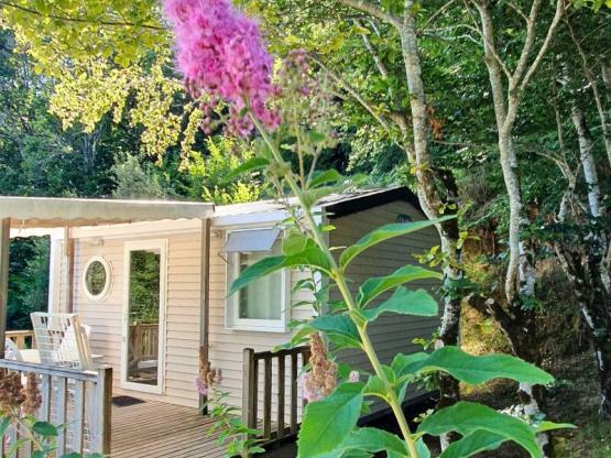 Stacaravan Confort 18m² (1 slaapkamer) + TV + Half-schaduwrijk terras