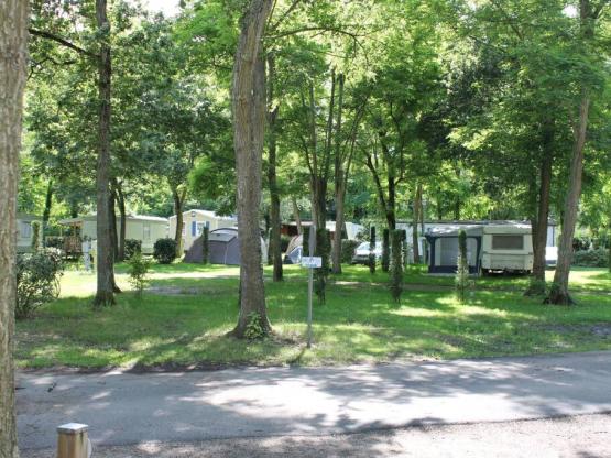 Standplaats auto + tent, caravan of kampeerauto + elektriciteit 10 A + Inclusief 2 volwassenen