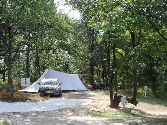 Rustige XL Kampeerplaats Sémillion met schaduw - in het bos, alleen voor caravan of tent, 100 tot 120 m², elektriciteit inbegrepen