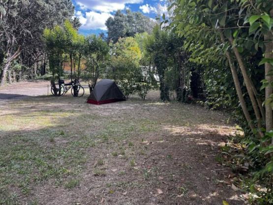 Basisprijs Natuurplaats SOLO (1 tent, caravan of camper / 1 Auto)