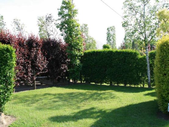 Kleine Plek voor kleine Tent