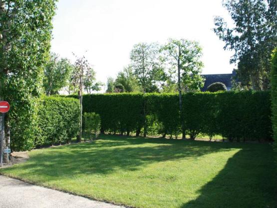 Middengrote Plek voor kleine tent o caravan