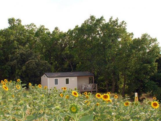 Stacaravan (2 kamers)