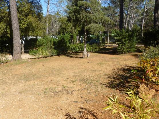 Basisprijs Comfortplaats (1 tent, caravan of camper / 1 auto / elektriciteit 10A)