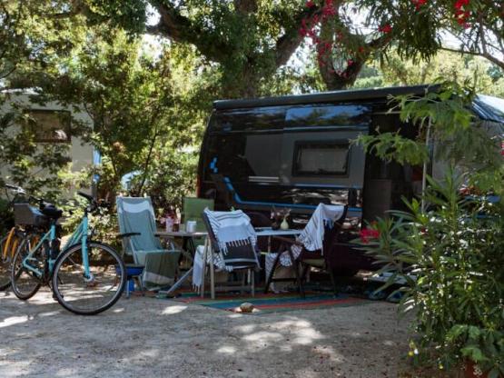 Standplaats + voertuig + tent of caravan + elektriciteit