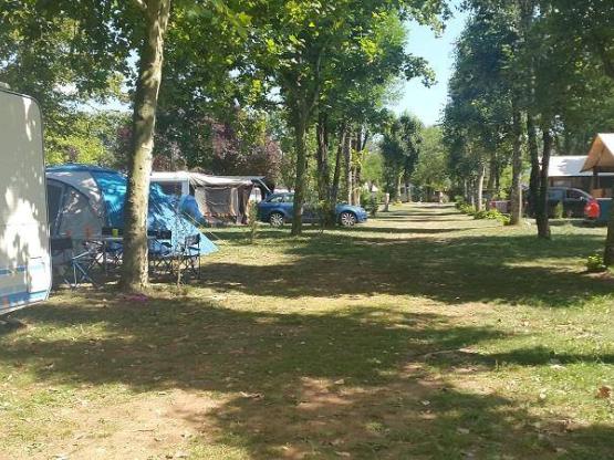 Pakket: standplaats + 1 voertuig + tent of caravan of kampeerauto