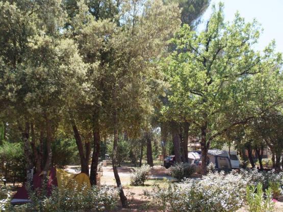 Privilege Formule (1 tent, caravan of camper / 1 auto / elektriciteit 10A)