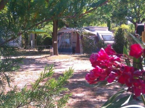 Kampeerplaats 2p + auto + tent of caravan + elektriciteit