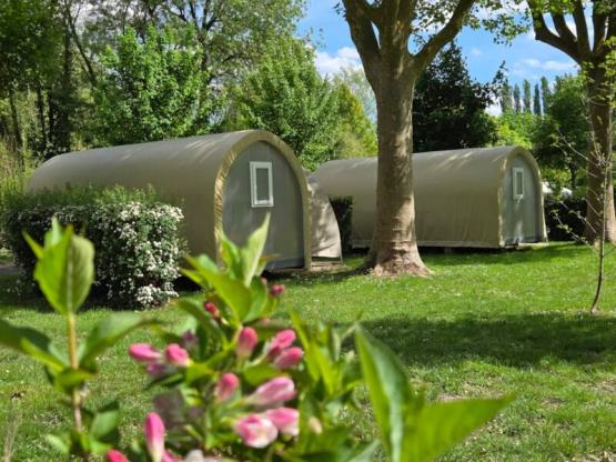 CocoSweet 16m² zonder privé sanitair + wifi  (No TV)