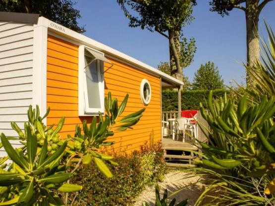 Mobilheim GOYAVE 25m² - Halbüberdachte Terrasse - 2 Zimmer