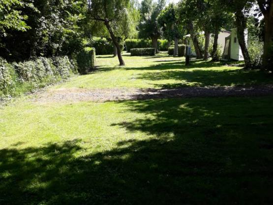 Standplaats + 1 voertuig + tent of caravan