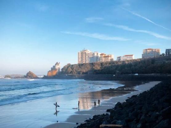 Standplaats PREMIUM (geen tenten toegestaan)