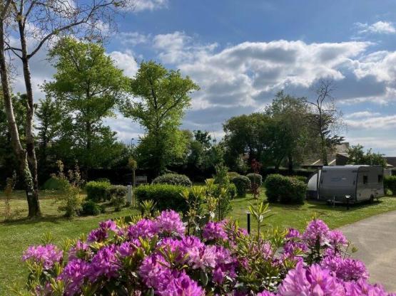 Natuurpakket (1 tent, caravan of camper / 1 auto) zonder elektriciteit - 80m²