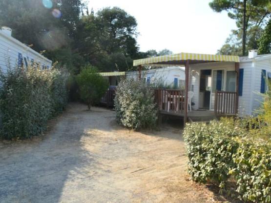 Mobilheim 16m² - 1 Zimmer