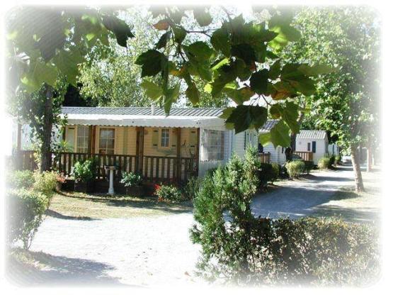 Staracaravan Paloma 32m² 2 kamers  - terras overdekt terras