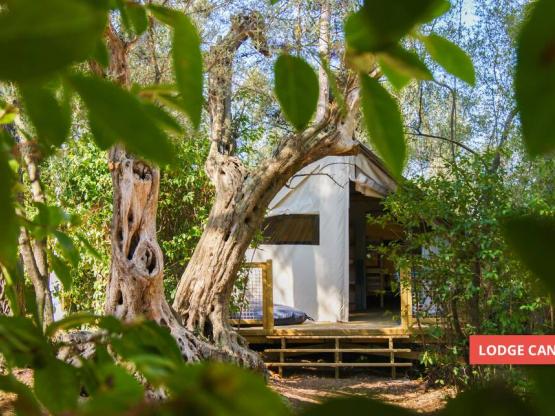 Lodge CANNELLE 21m² (2 slaapkamers)
