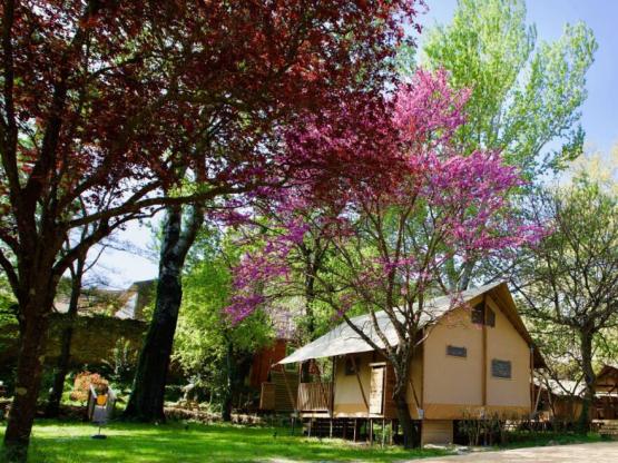 Lodge Prairie 30m² + 15m² - 2 slaapkamers- - spa