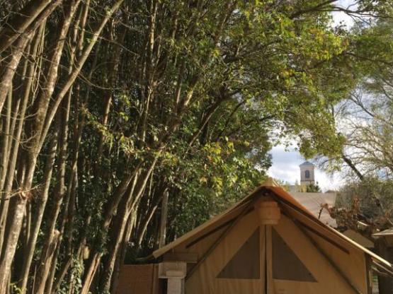 Lodge Central 24m² - 1 slaapkamer