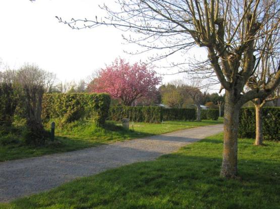 STANDPLAATS met voertuig - 100m² - elektriciteit