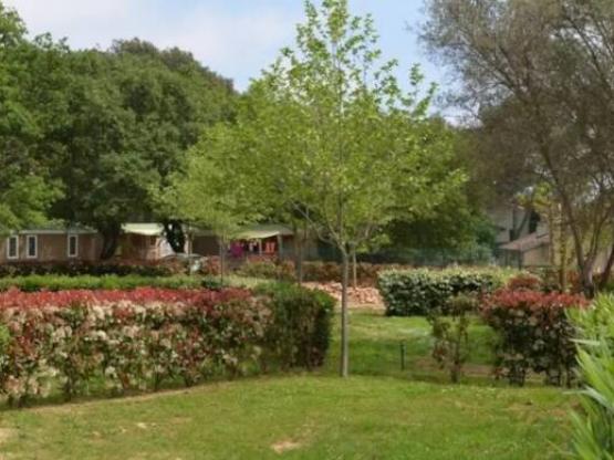 Confort standplaats + elektr. 10A