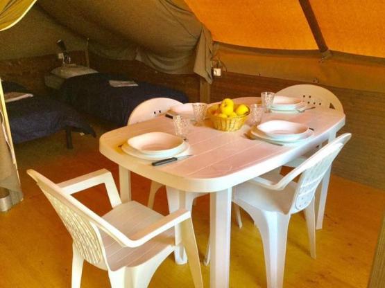 Trappeur wapiti/ koala