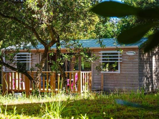 Stacaravan PREMIUM + 32 m² (2 Kamers - 2 Badkamers) + terrasse