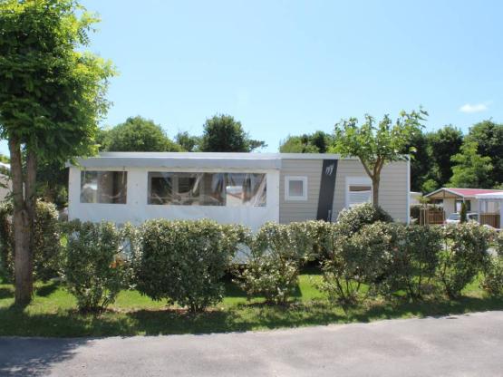 Premium Family (3ch)