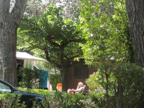 Standplaats + voertuig