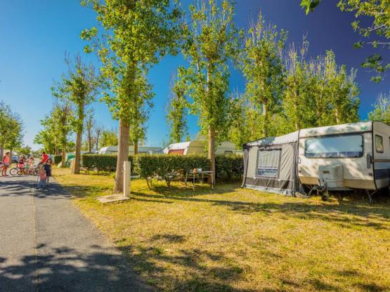 standplaats PREMIUM = 95m²  + 1 voertuig + tent of caravan + elektriciteit